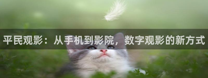 第九电影院在线观看