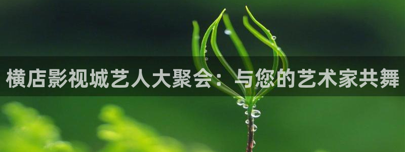 神马影院韩国理伦电影第九季：横店影视城艺人大聚会：与您的艺术家共舞