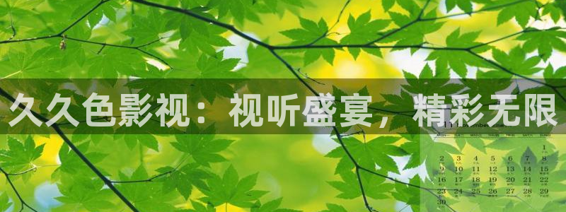第九影城：久久色影视：视听盛宴，精彩无限
