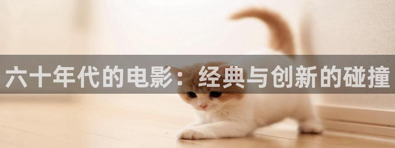神马影院我不卡第九