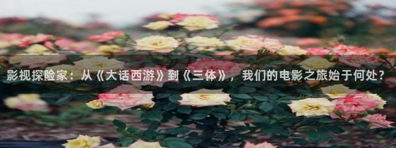 第九影院欧美