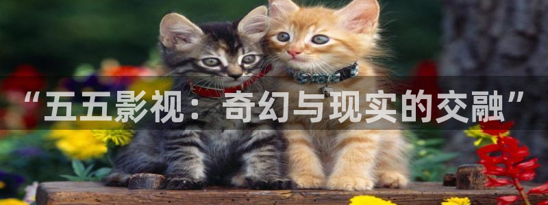 第九影院最新：“五五影视：奇幻与现实的交融”