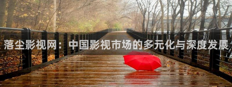 第九影院理伦：落尘影视网：中国影视市场的多元化与深度发展