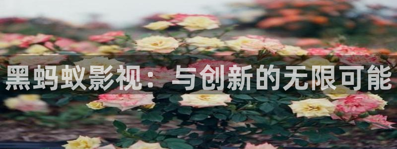 第九影院理仑片