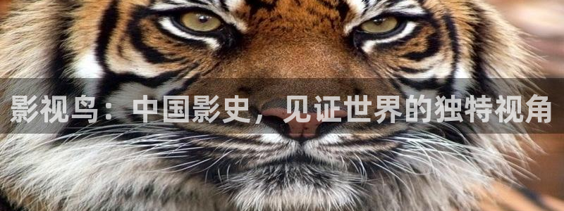 第九电影院神马：影视鸟：中国影史，见证世界的独特视角